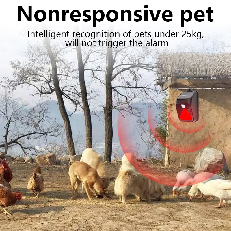 Wodoodporna lampa alarmowa zas – Home Security Yard Sensors recenzja i cena